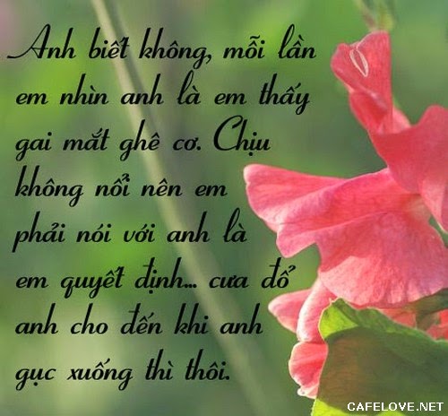 nhung-loi-to-tinh-hay-ngot-ngao-lang-man-va-de-thuong-nhat-don-tim-phai-dep-ban-nen-tham-khao-15