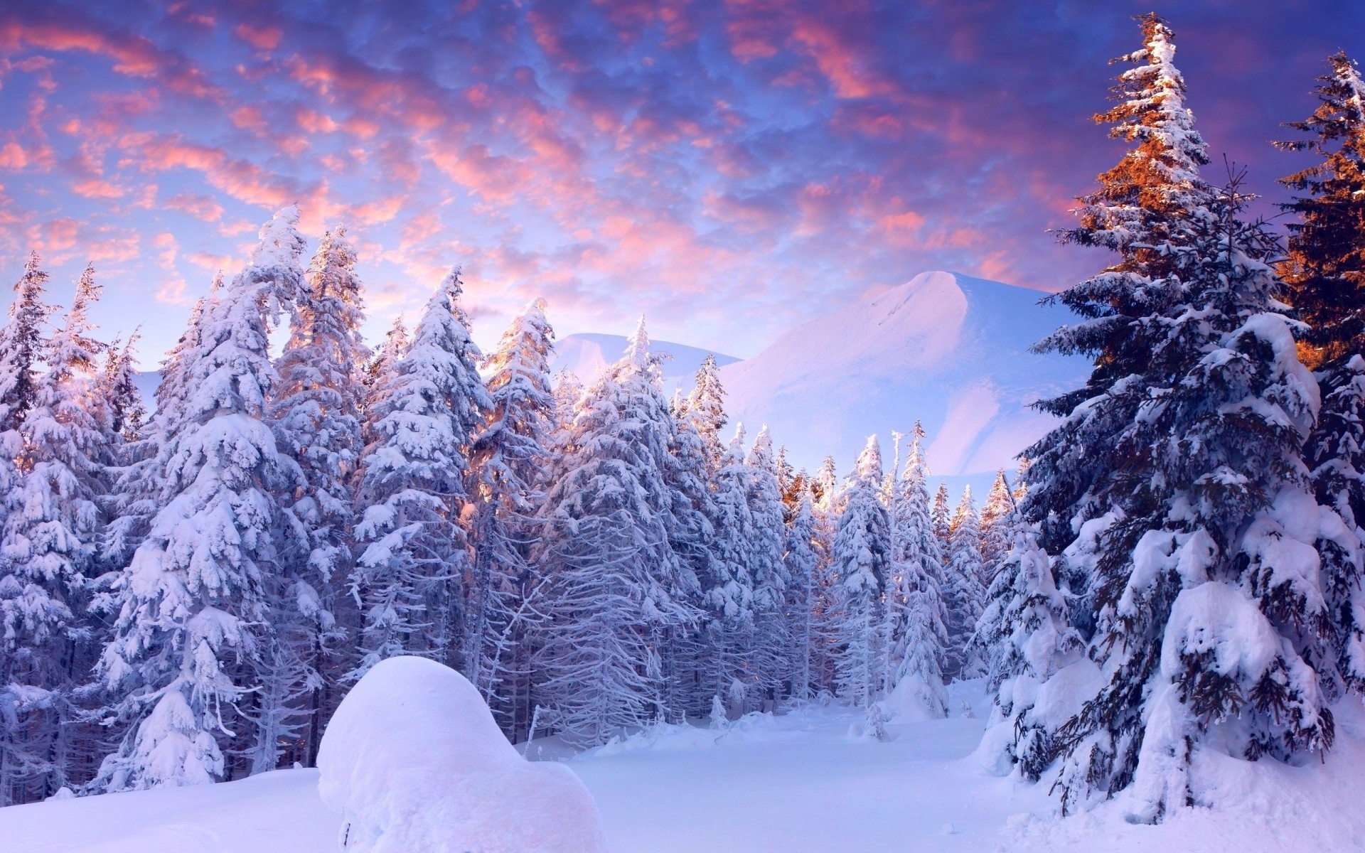 Hình ảnh tuyết rơi mùa đông đẹp nhất thế giới năm 2015 -8