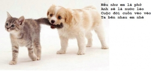 nhung-cau-noi-che-hay-nhat-cuc-kho-do-ve-tinh-yeu-bat-hu-va-hai-huoc-nhat-moi-thoi-dai-12