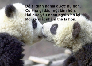 nhung-cau-noi-che-hay-nhat-cuc-kho-do-ve-tinh-yeu-bat-hu-va-hai-huoc-nhat-moi-thoi-dai-2