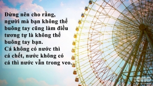 nhung-cau-noi-hay-bat-hu-cuc-y-nghia-sau-sac-nhat-ve-tinh-yeu-chuan-khong-can-chinh-bang-hinh-anh-13