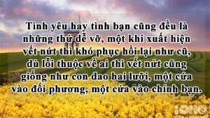 nhung-cau-noi-hay-bat-hu-cuc-y-nghia-sau-sac-nhat-ve-tinh-yeu-chuan-khong-can-chinh-bang-hinh-anh-3