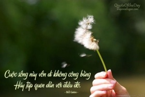 nhung-cau-noi-hay-bat-hu-va-doc-nhat-ve-danh-ngon-cuoc-song-di-vao-long-nguoi-ban-khong-nen-bo-qua-1
