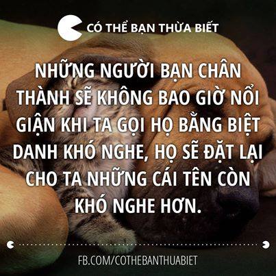 nhung-cau-noi-hay-doc-dao-dam-chat-nhan-van-ve-tinh-ban-bang-hinh-anh-1