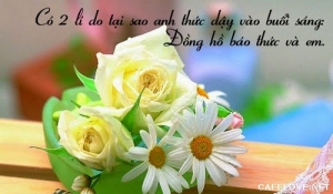 nhung-loi-to-tinh-hay-ngot-ngao-lang-man-va-de-thuong-nhat-don-tim-phai-dep-ban-nen-tham-khao-6