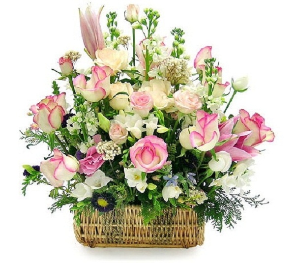 Hoa đẹp tặng ngày 20/11 dành cho thầy cô giáo đầy ý nghĩa - 5