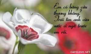 Những bài thơ tỏ tình dễ thương ngọt ngào và lãng mạn nhất -6