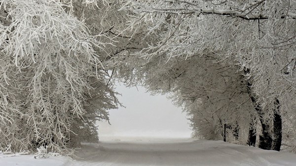 Những hình ảnh về mùa đông lạnh lẽo tuyệt đẹp -14