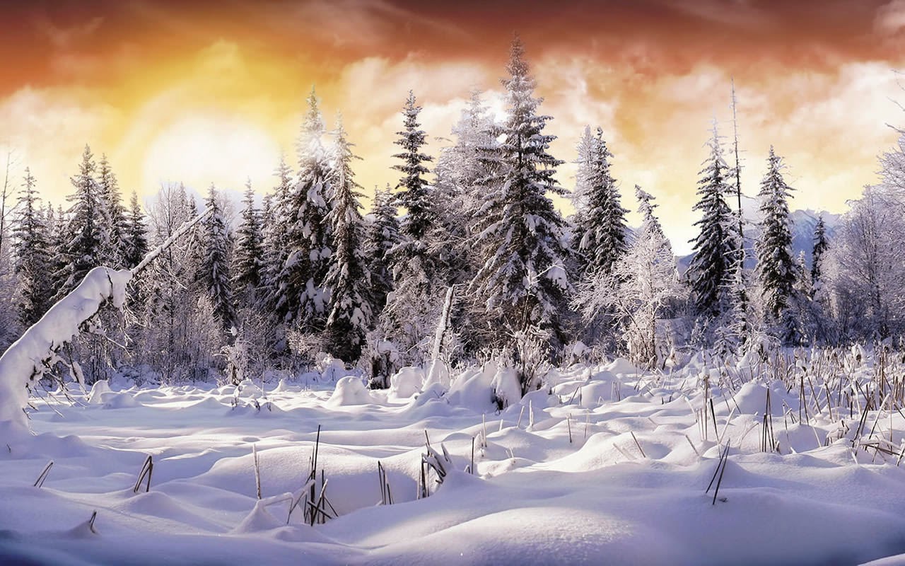 Những hình ảnh về mùa đông lạnh lẽo tuyệt đẹp -4