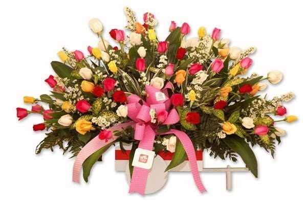 Những lẵng hoa đẹp gửi đến thầy cô nhân ngày 20 - 11 -2