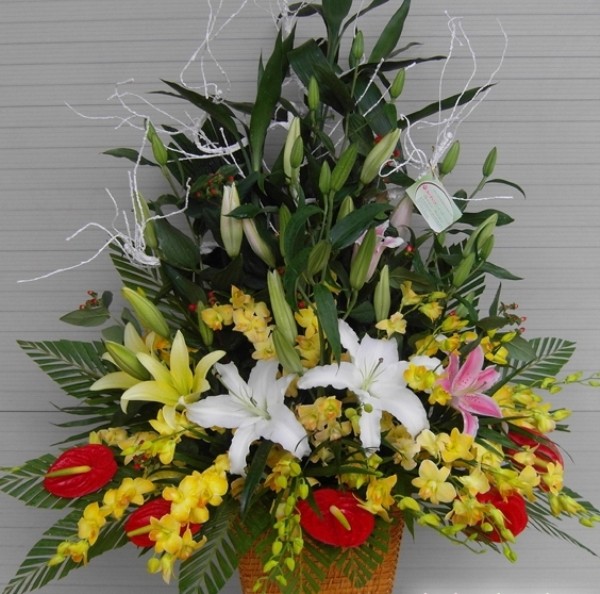 Những lẵng hoa đẹp gửi đến thầy cô nhân ngày 20 - 11 -6