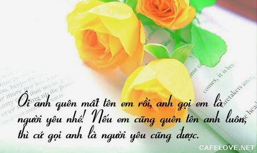 Những lời tỏ tình dễ thương lãng mạn hay nhất chắc chắn sẽ chinh phục được nàng -1