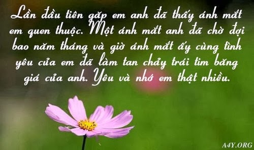 Những tin nhắn lãng mạn nhất về tình yêu -2