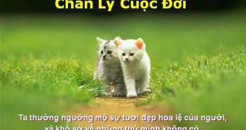 Tuyển tập những câu ngôn danh ngôn hay bất hủ bạn cần biết trước khi vào đời -4