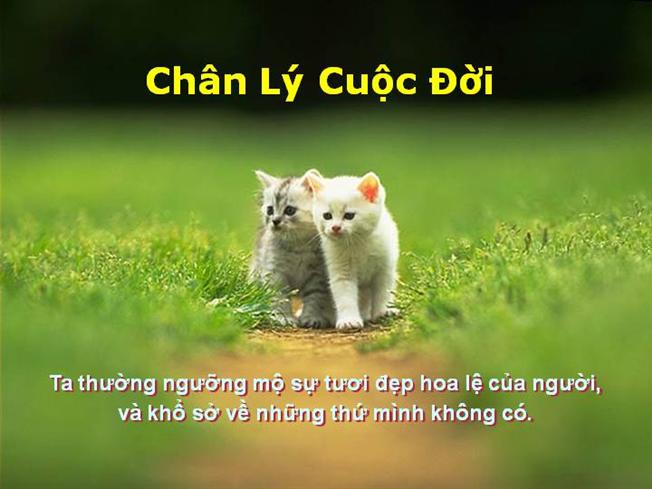 Tuyển tập những câu ngôn danh ngôn hay bất hủ bạn cần biết trước khi vào đời -4