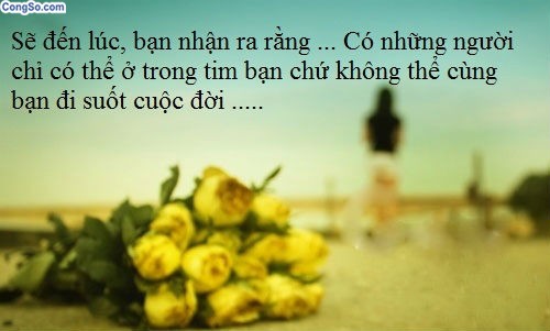 Những câu danh ngôn hay bất hủ về tình yêu của người nổi tiếng -3