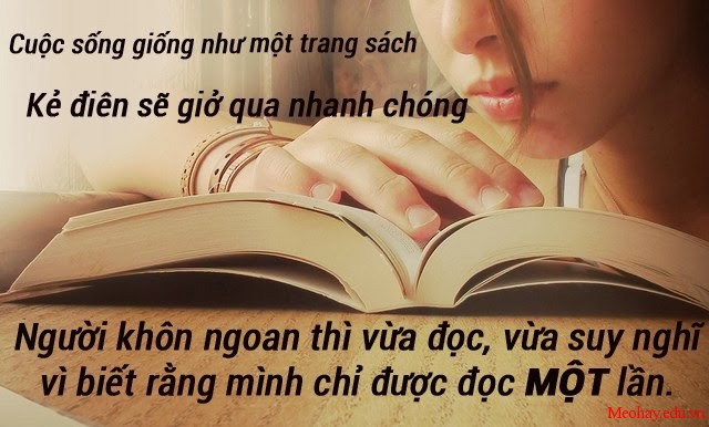 Những câu nói hay bất hủ ý nghĩa nhất mọi thời đại -11