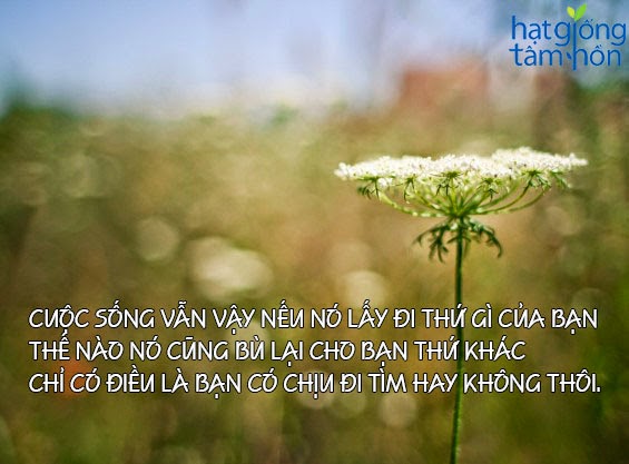 Những câu nói hay đáng suy ngẫm về cuộc sống ý nghĩa nhất - 5