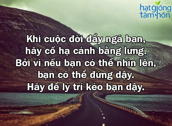 Những câu nói thâm thúy khiến bạn vực dậy mỗi khi muốn bỏ cuộc -1