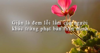 Những câu nói hay nhất về bản thân bằng tiếng anh -1