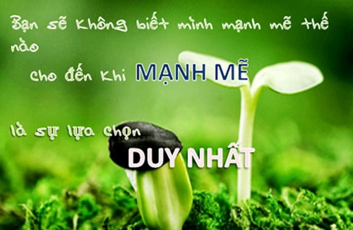 Những câu nói hay về cuộc đời ý nghĩa nhất đáng để suy ngẫm 3