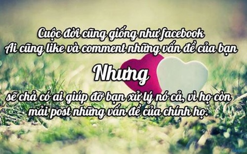 Những câu nói hay về cuộc đời ý nghĩa nhất đáng để suy ngẫm 4