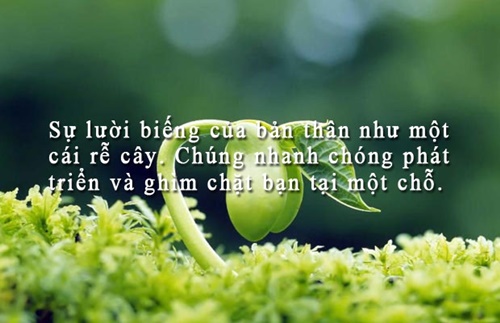 Những câu nói hay về cuộc sống truyền cảm nhất dễ hiểu dễ trau dồi 10