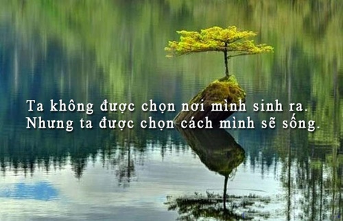 Những câu nói hay về cuộc sống truyền cảm nhất dễ hiểu dễ trau dồi 2