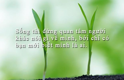 Những câu nói hay về cuộc sống truyền cảm nhất dễ hiểu dễ trau dồi 8