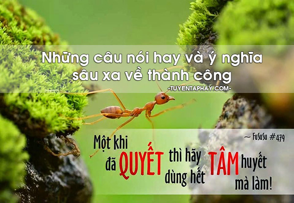 Những điều hay và ý nghĩa rút ra từ cuộc sống hằng ngày xung quanh bạn -2