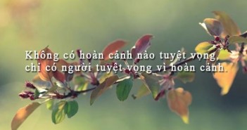 Stt hay về cuộc sống có ý nghĩa sâu sắc cho những người thiếu niềm tin -1