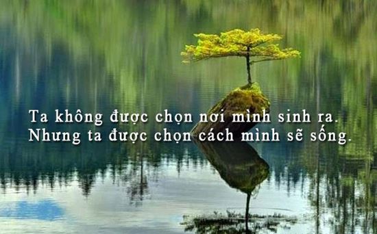 Stt hay về cuộc sống có ý nghĩa sâu sắc cho những người thiếu niềm tin -2