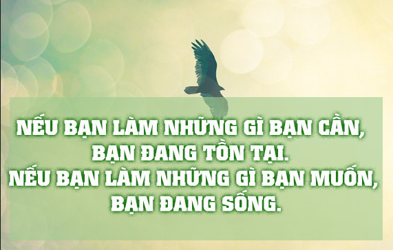 Suy ngẫm những câu nói hay và ý nghĩa về cuộc sống của người nổi tiếng -1