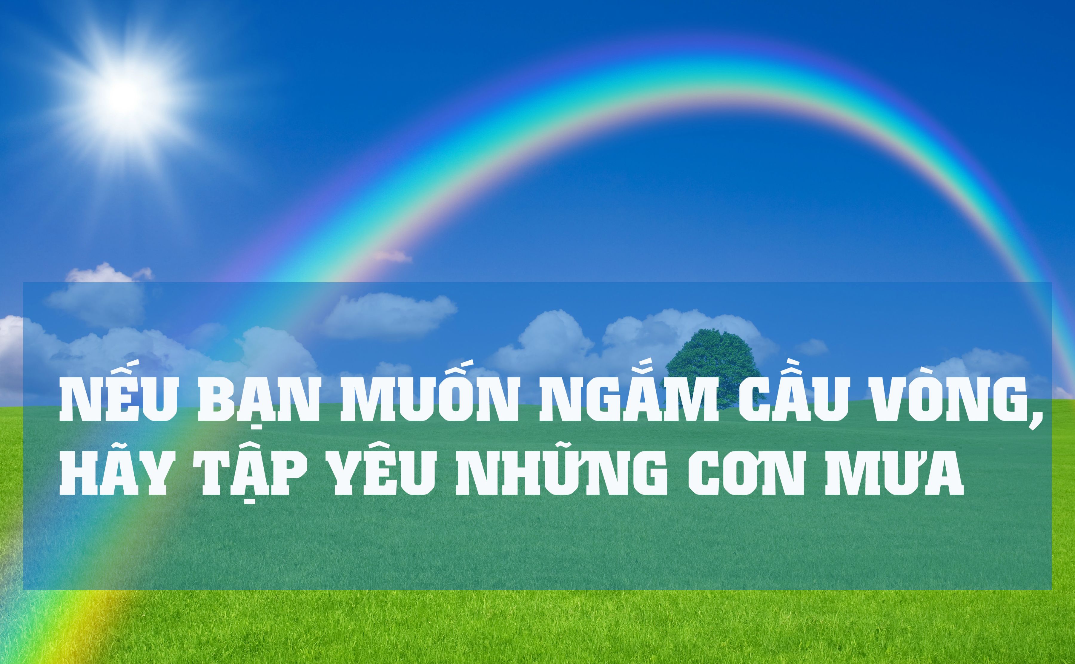 Suy ngẫm những câu nói hay và ý nghĩa về cuộc sống của người nổi tiếng -3