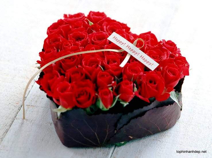 Hình ảnh hoa hồng ngày valentine tặng người yêu 14-2 -11