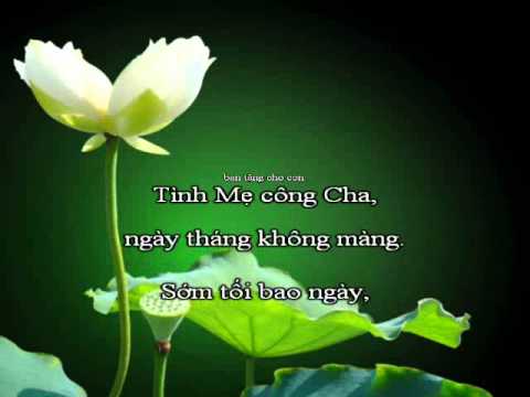 Những câu nói hay và  ý nghĩa về cha mẹ thiêng liêng nhất cho tất cả mọi người -1