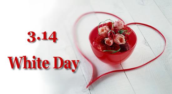 Những câu tỏ tình ngày 14-3 hay và ý nghĩa ngày valentine trắng -1