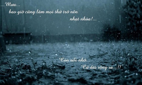 Status buồn về mưa hay ý nghĩa cảm động nhất 3